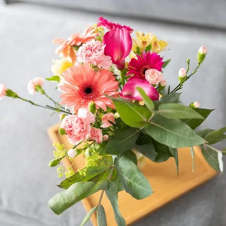 Apartment Düsseldorfer Hof A1 *